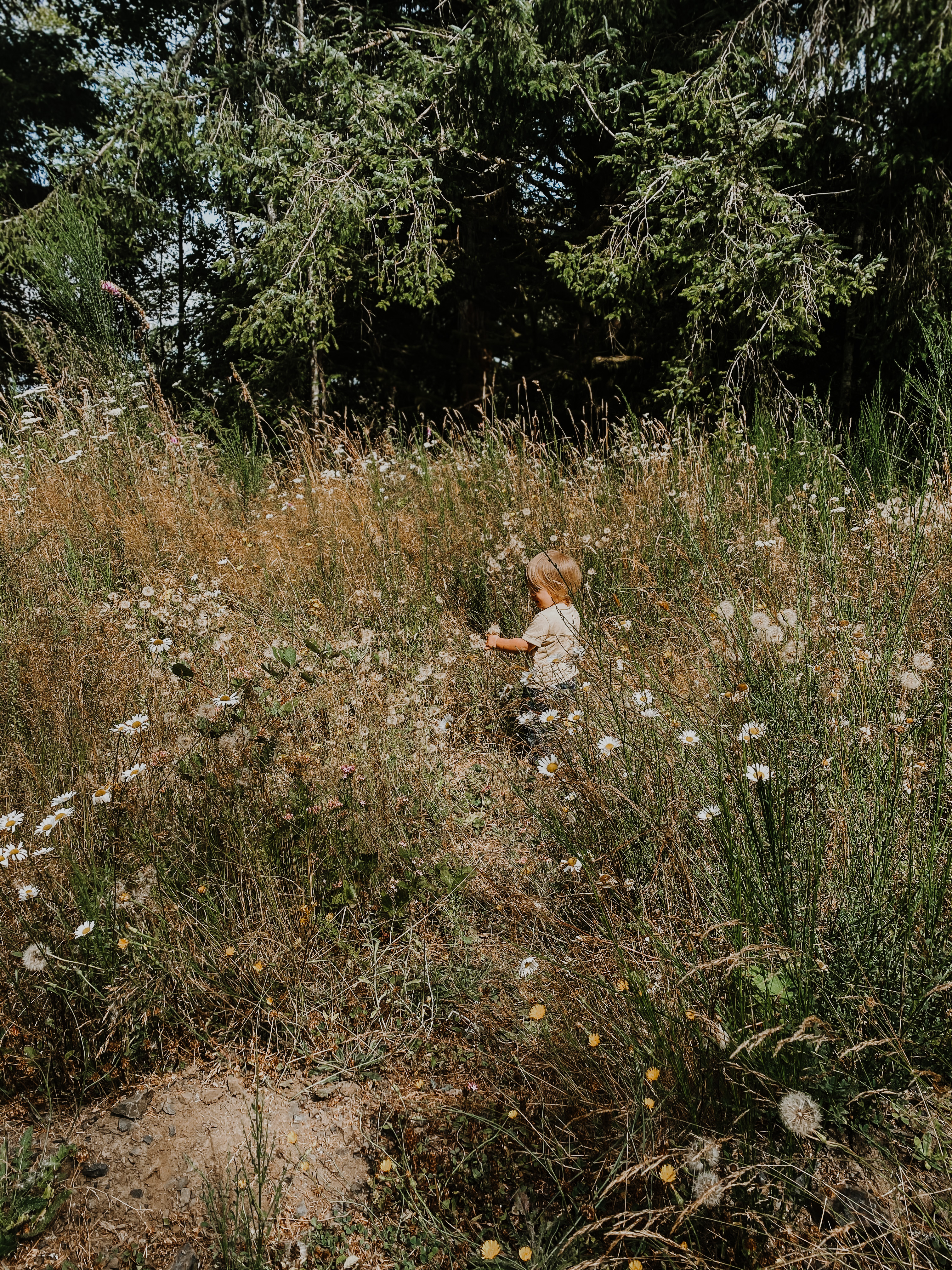 Unschooling: The Evidence-Based Benefits