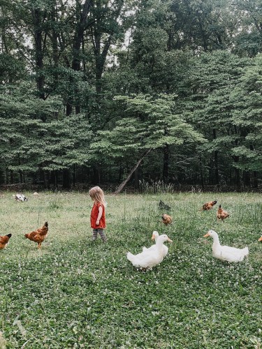 Embracing Slow Living with Kids: Tips For Raising Mindful Children